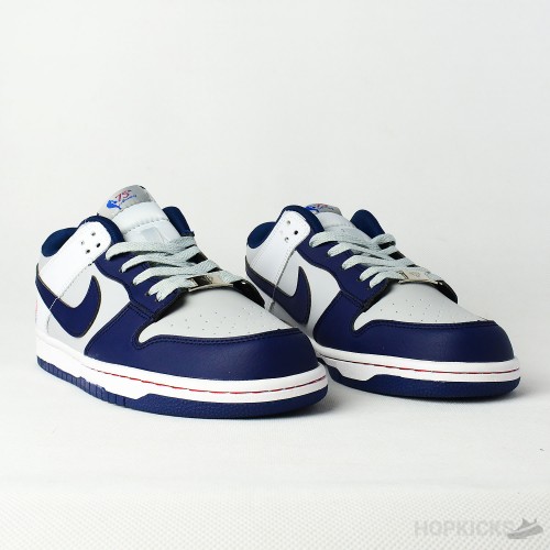 brooklyn nets sb dunks